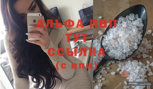 спиды Абаза