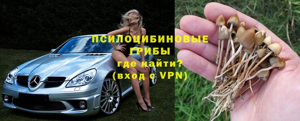 спиды Абаза
