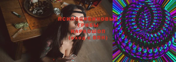 спиды Абаза
