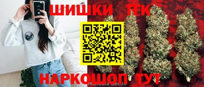 шишки Заводоуковск