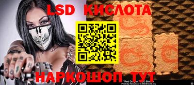 шишки Заводоуковск