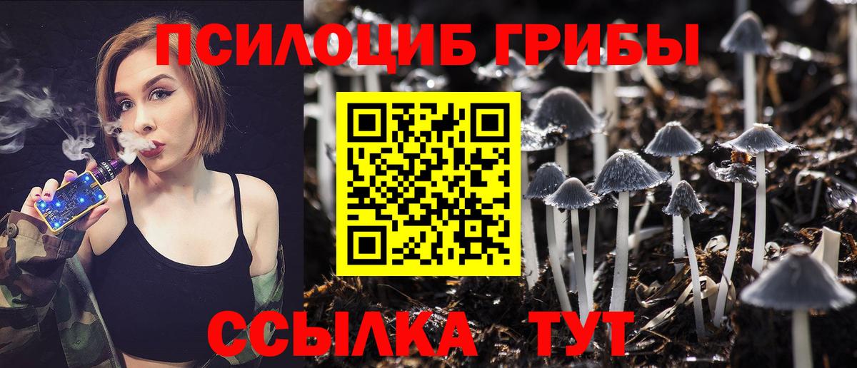 Грязи  Галлюциногенные грибы MAGIC MUSHROOMS  Галлюциногенные грибы Psilocybine cubensis  закладки  Вход с VPN 