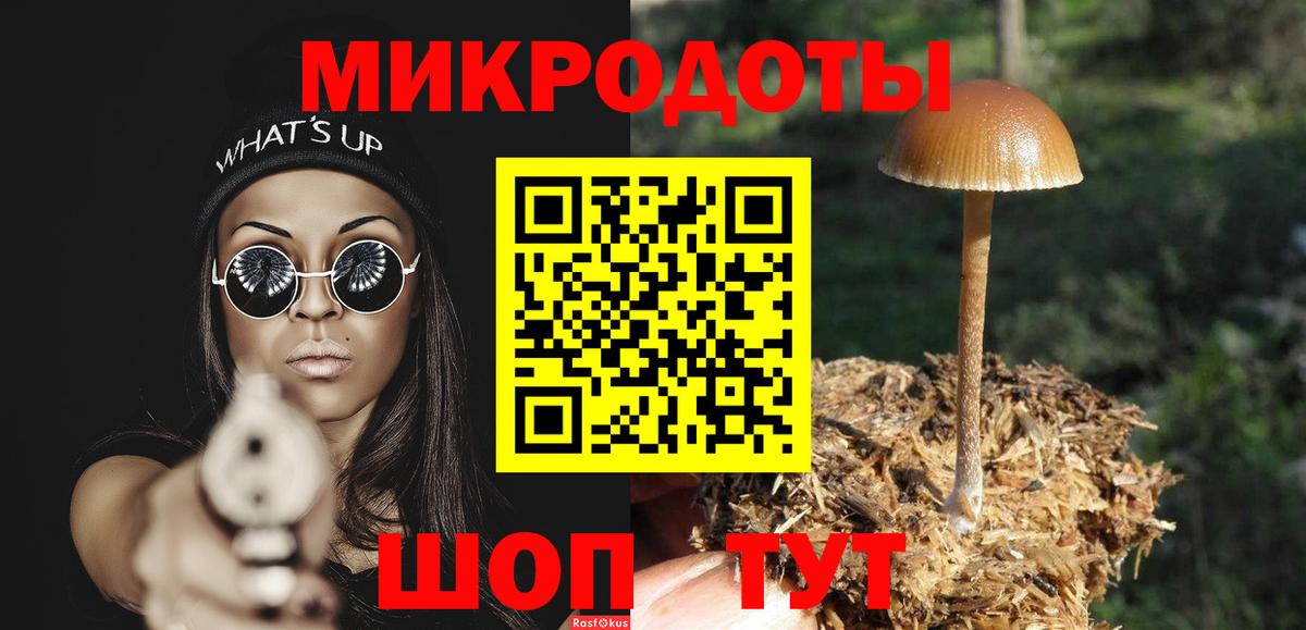 Галлюциногенные грибы Cubensis Грязи